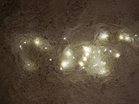 LED-LICHTERDRAHT mit 60 Lichtern und Timer