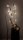LED-LICHTERKETTE mit 16 Sputniks, 4,5 m, weiß, mit Timer